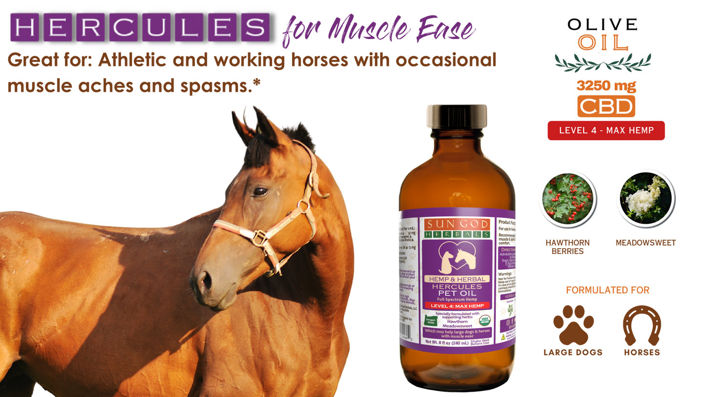 Organic Hercules Muscle Relief Hemp Pet Oil-Level 4 Max Hemp: for Horses and Large Dogs