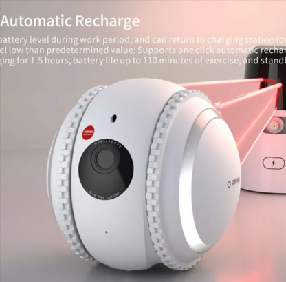 PetPal Interactive Robot – Your Cat's Ultimate Companion and Monitor