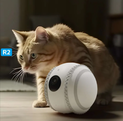 PetPal Interactive Robot – Your Cat's Ultimate Companion and Monitor