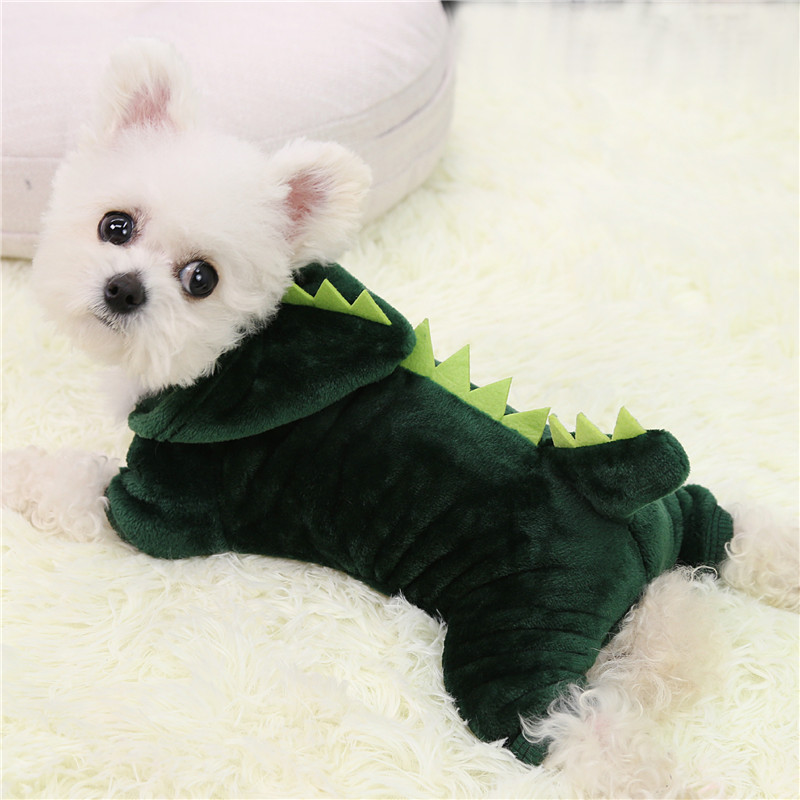 Dino Delight Pet Outfits