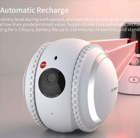 PetPal Interactive Robot – Your Cat's Ultimate Companion and Monitor