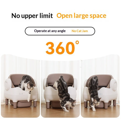 Open-style Smart Cat Litter Box with Auto Scooping